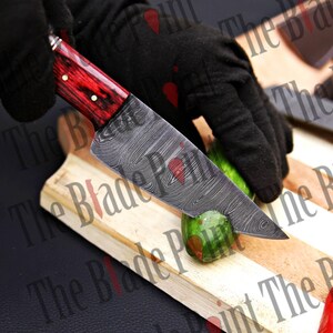 Pu&ograve; includere: Primo piano di una mano che tiene un coltello da cucina con manico rosso e nero con una lama in acciaio damascato, che taglia un cetriolo verde su un tagliere di legno.