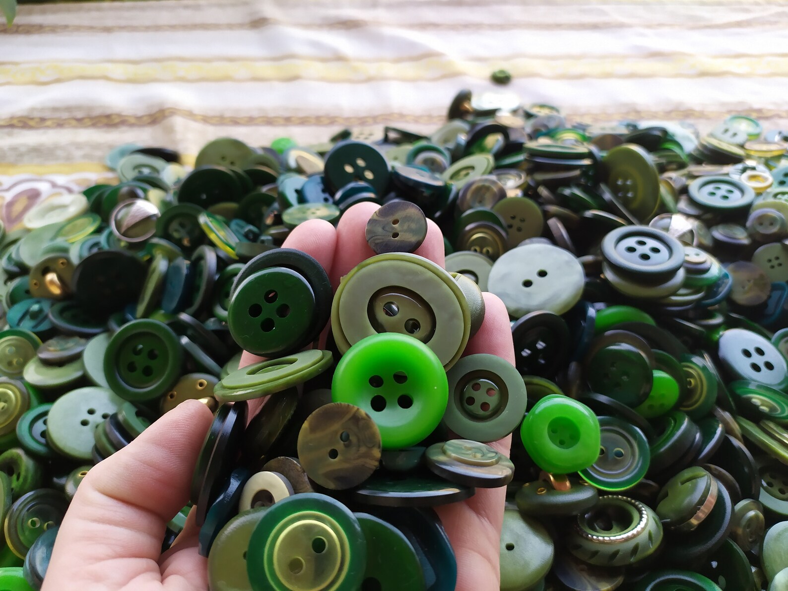 Vintage 25 Buttons in Assorted Colors of Green Sew Lovers - Etsy
