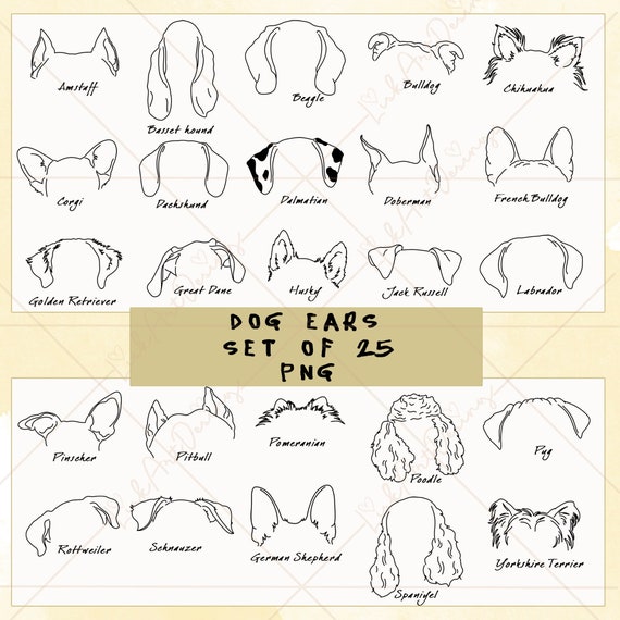 Dog Ears Outline Set of 25 Pet Ears PNG Pet Ear Clipart | Etsy