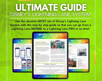 Complete Guide to WDW Lightning Lane System