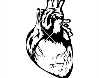 Download Human Body Svg Etsy