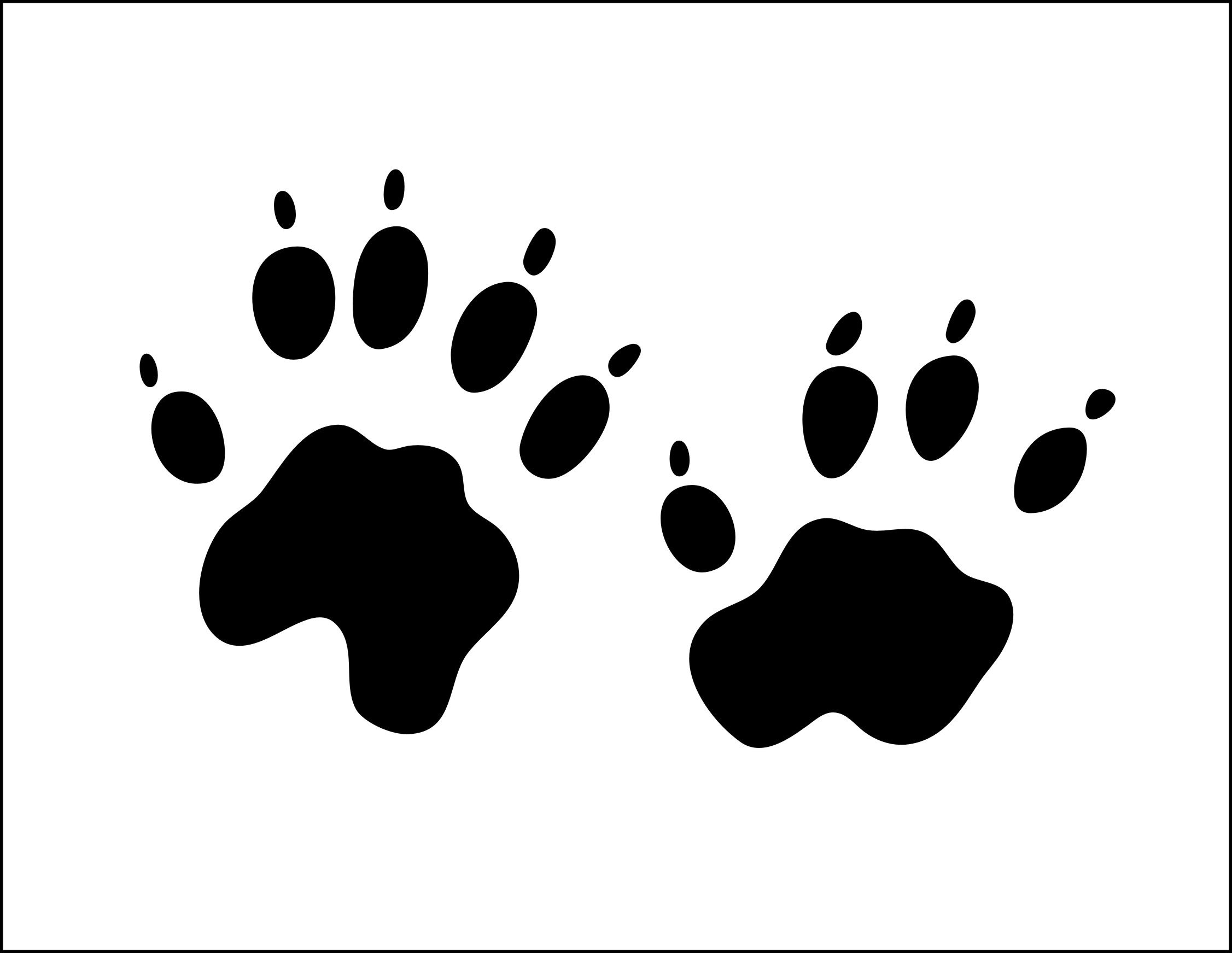 Woodchuck Poop Mystery Solved: Learn To Spot The Signs - 1xg1q27