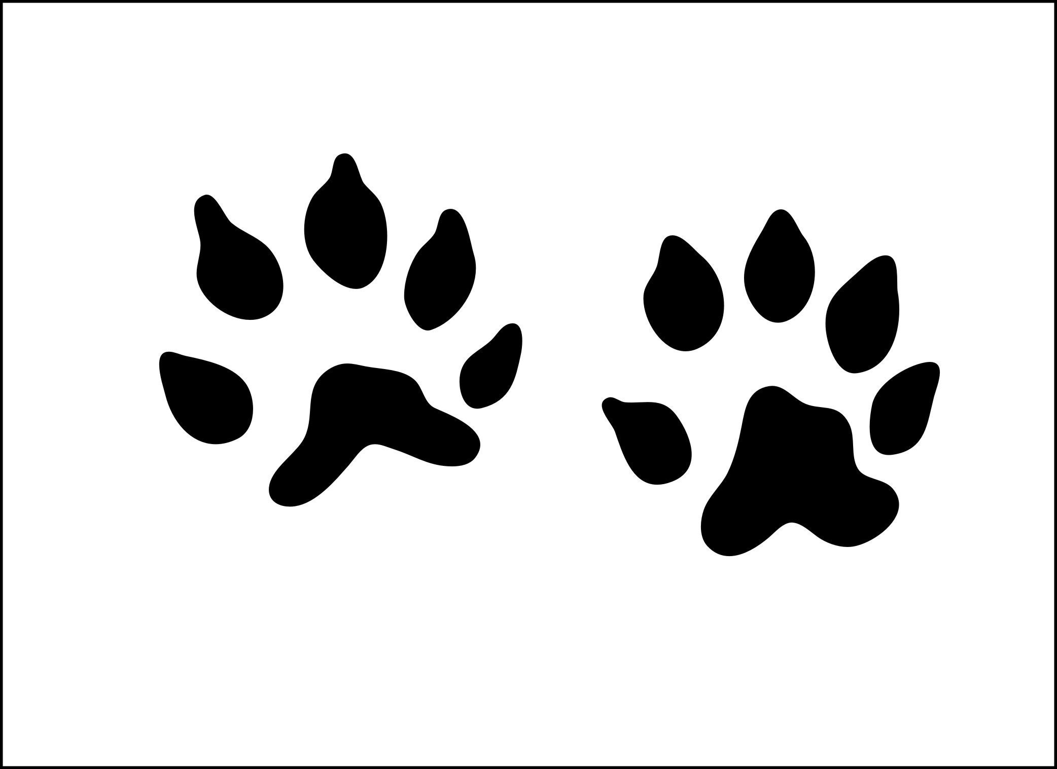 Fisher paw print tracks foot print Animal zoo wild pet Etsy
