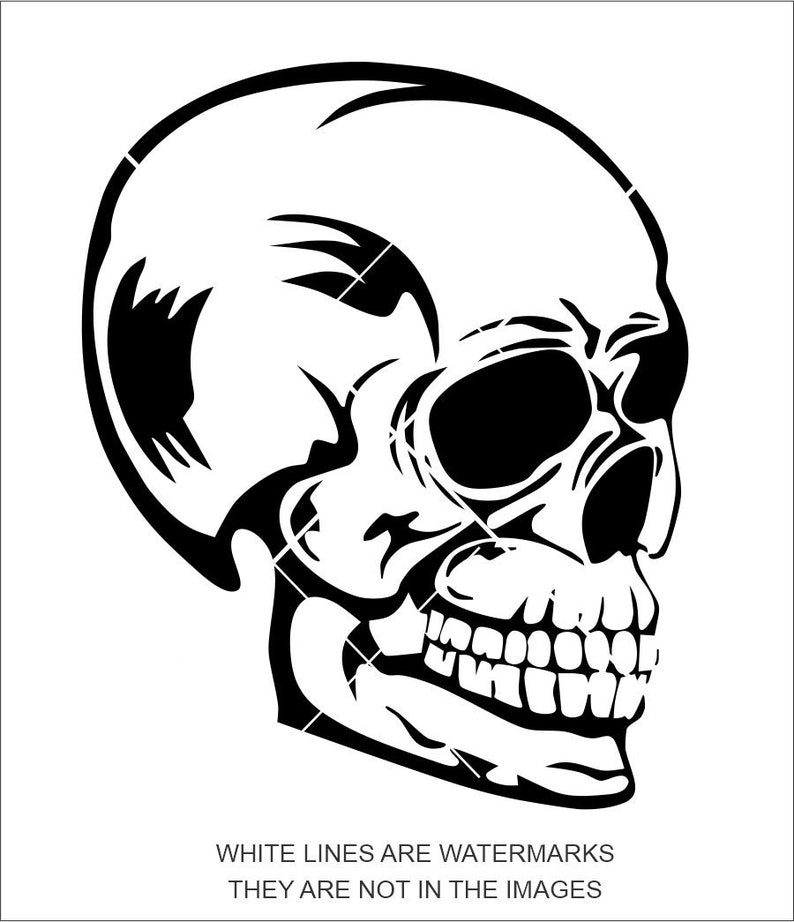 laser print cut design Sign T-Shirt Image ClipArt download epspngjpegsvg Skull svg Skulls svg Skull of a Head Head Skull 4