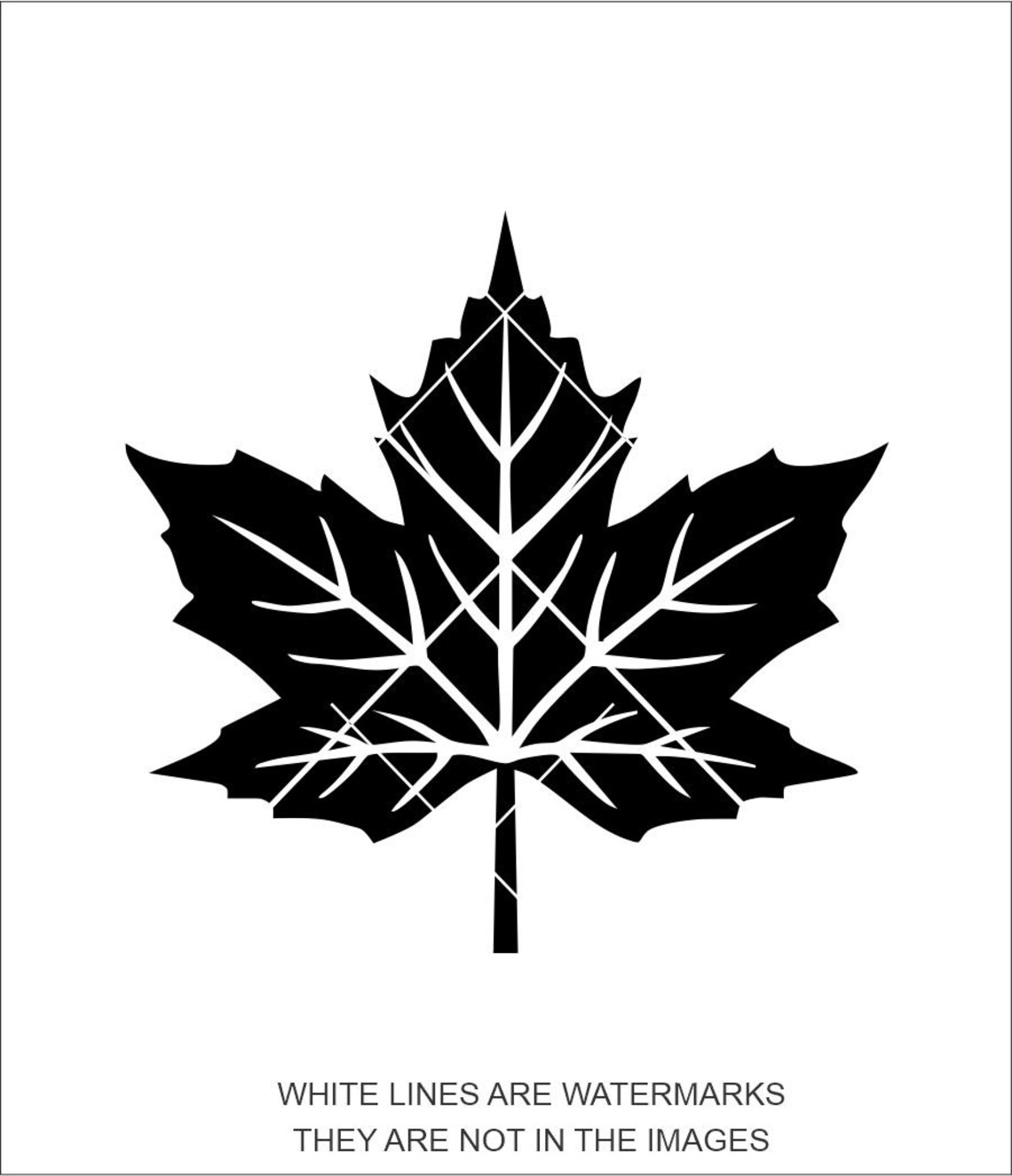 Maple Leaf svg Tree Leaf svg Maple Leaf picture Maple Tree | Etsy