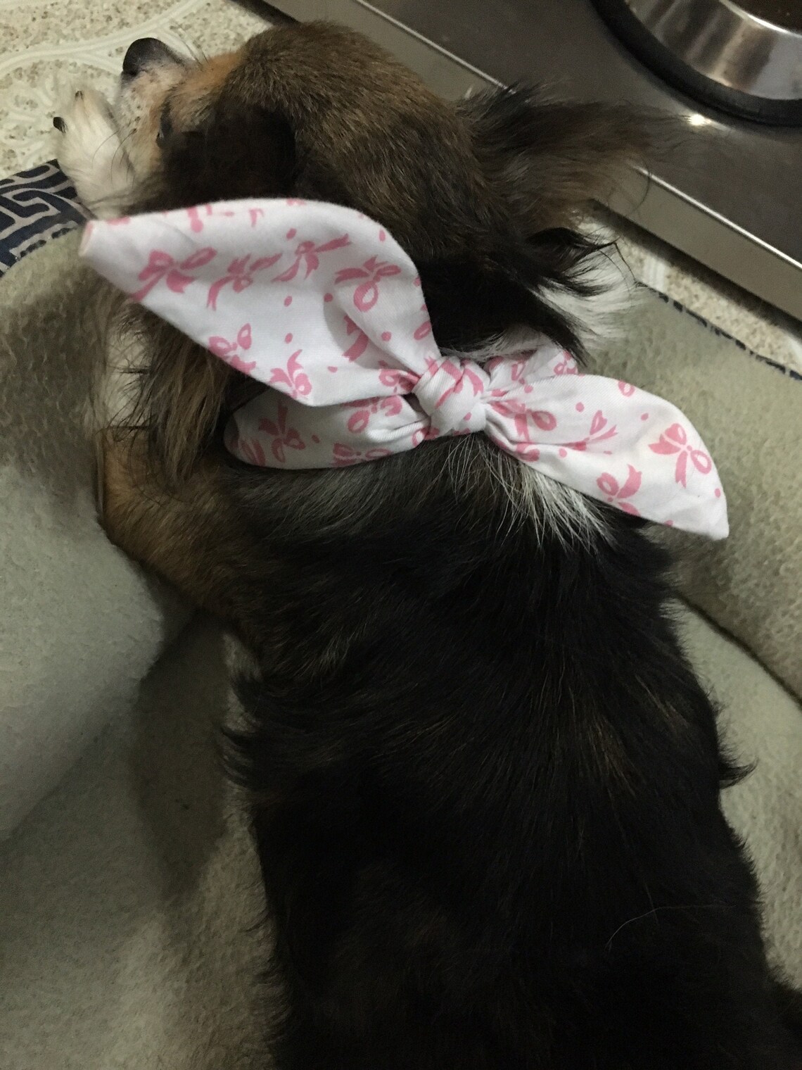 Dog & Cats Knot Bandanas Customizable 100 Cotton Etsy