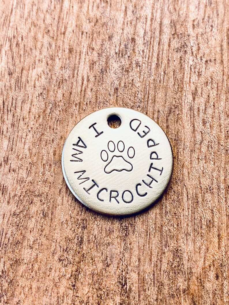 Dog Microchip Tag I Am Microchipped Tag Pet Microchipped Etsy