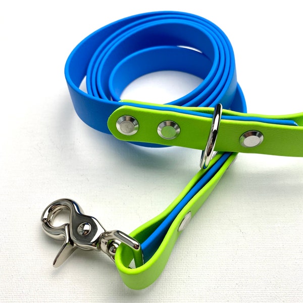 BioThane Waterproof Dog Leash - Vegan Leather Dog Leash - Standard 5 Foot Length - Two Tone Dog Leash - Blue/Lime