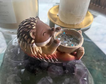 The Hedgehog Spirit Companion ritual kit — Awakened Guardian of Sacred Boundaries, Moonstone Peace & Gentle Protection