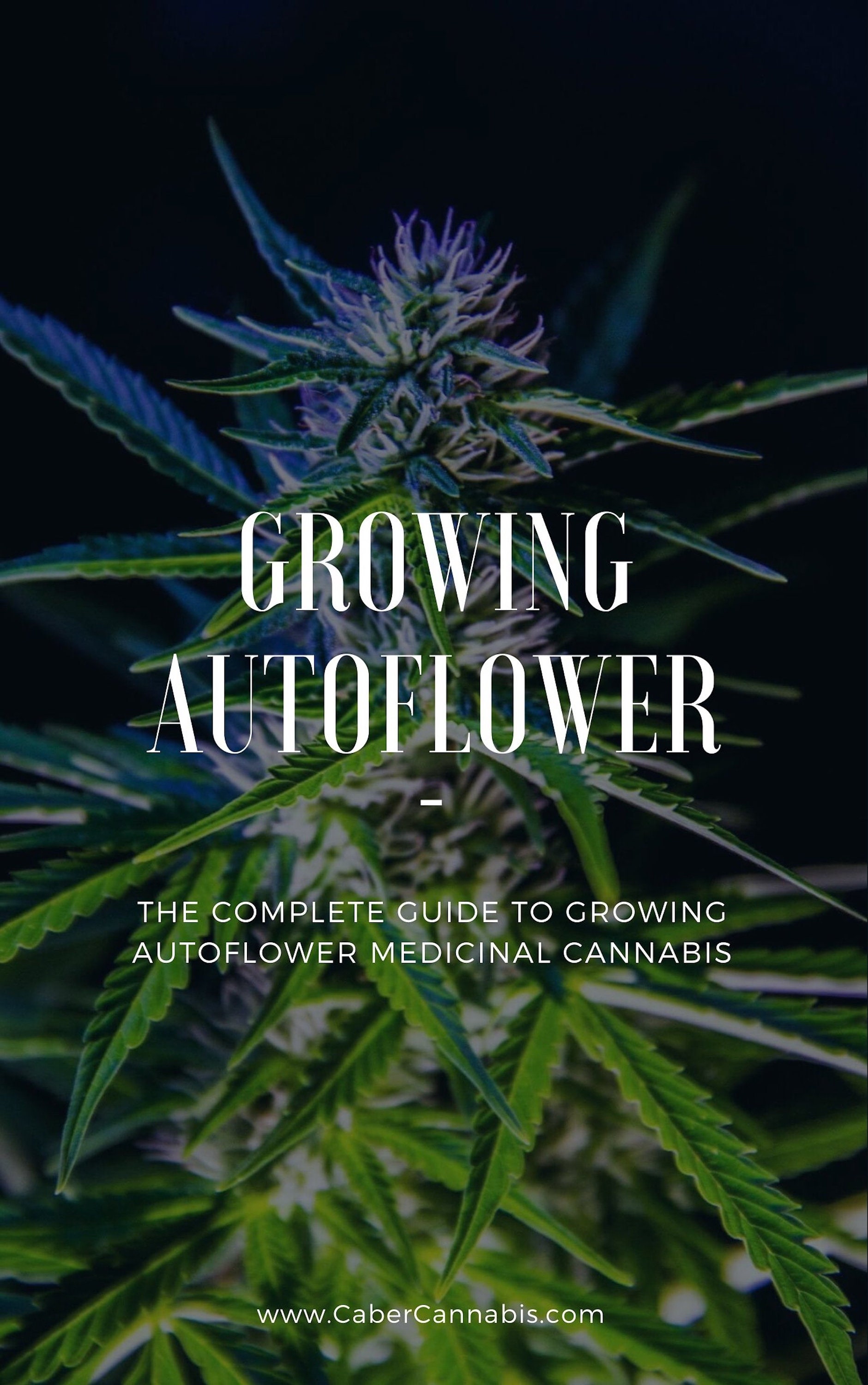 Growing Autoflower the Complete Guide to Growing Autoflower Medicinal