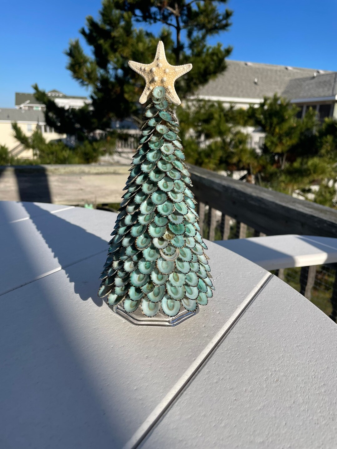 10 Blue Limpet Shell Tree on Glass Pedestal - Etsy