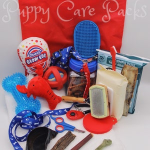 Dog & Puppy Toy/Gift Basket image 5