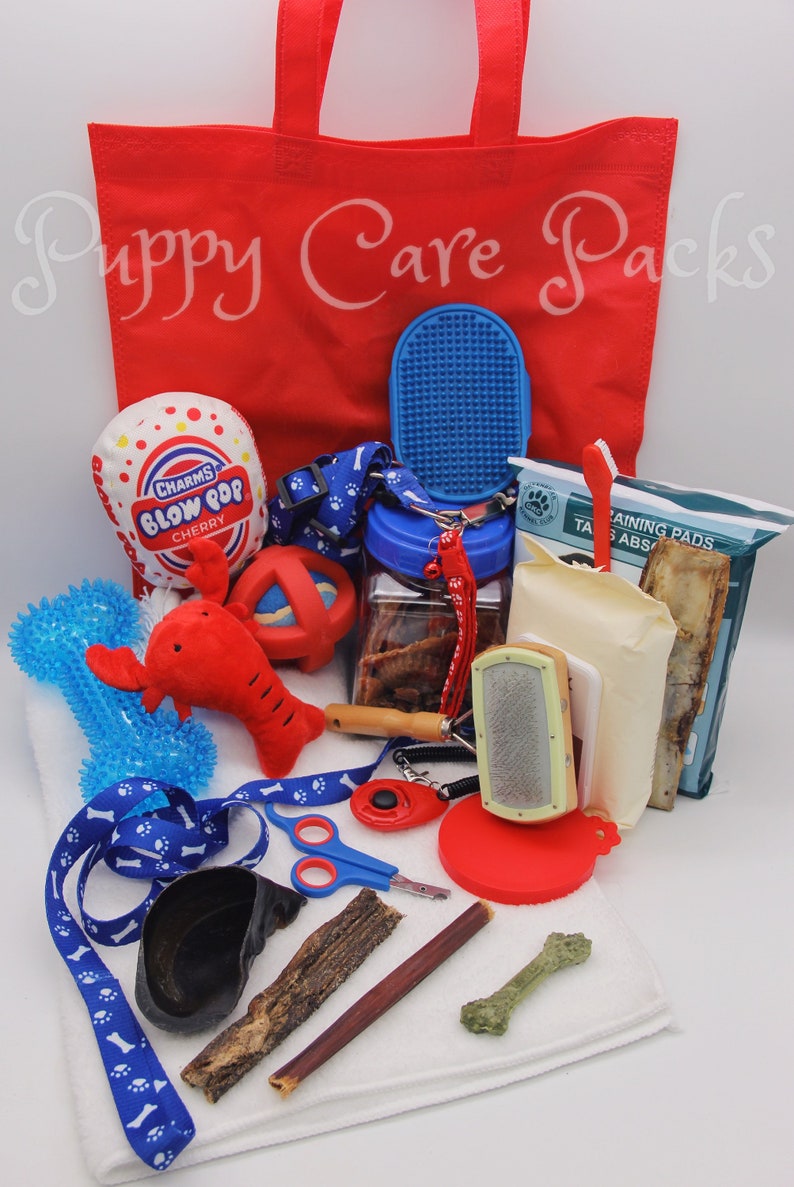 Dog & Puppy Toy/Gift Basket image 5