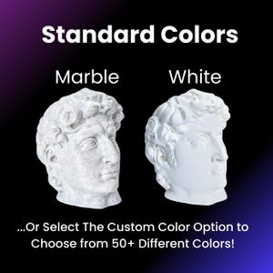 May include: Two plaster busts of the David statue, one in a marble finish and the other in white. The text "Standard Colors" is above the busts, and "Marble" and "White" are below each bust. The text "...Or Select The Custom Color Option to Choose from 50+ Different Colors!" is below the busts.