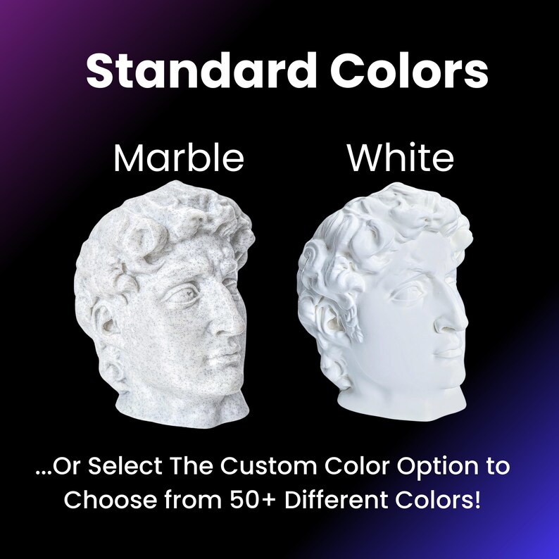 May include: Two plaster busts of the David statue, one in a marble finish and the other in white. The text "Standard Colors" is above the busts, and "Marble" and "White" are below each bust. The text "...Or Select The Custom Color Option to Choose from 50+ Different Colors!" is below the busts.
