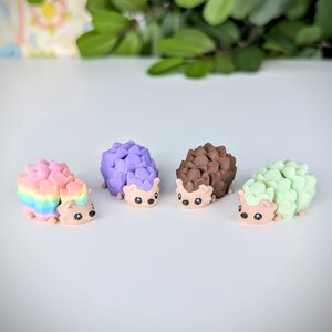 May include: Four miniature hedgehog figurines, each with a different coloured spiky back. The hedgehogs are facing forward with their eyes closed. The colours are rainbow, purple, brown, and green.