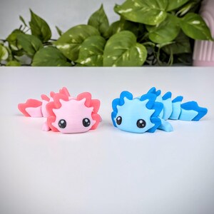 May include: Two small axolotl figurines, one pink and one blue, with large eyes and frilly edges. The figurines are made of a smooth, plastic-like material.