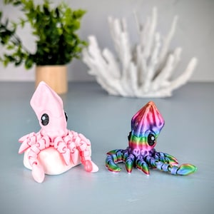 May include: Two small, colorful, 3D printed squid figurines. One is pink with black eyes and the other is iridescent with rainbow colors and black eyes. Both are posed with their tentacles outstretched.
