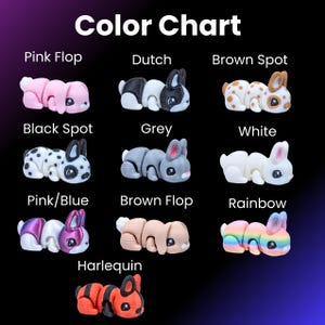 May include: A colour chart showcasing 3D-printed bunny figurines in various colours. The bunnies include pink, black and white spots, grey, white, pink and blue, brown, and rainbow. The text "Color Chart" is at the top of the image.