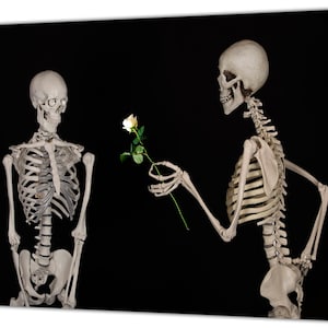 Couple Skeleton Love Picture Print  On Framed Canvas Wall Art Home Decoration