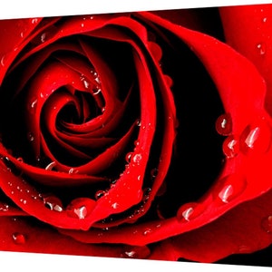 Dark Red Rose Picture Print On Wood Framed Canvas Wall Art Home Decoration