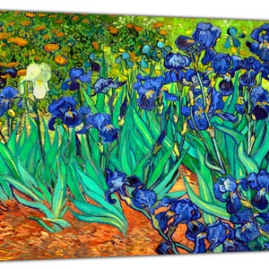 Van Gogh  irises Paint Picture Re Print Framed Canvas Wall Art  Home Decor