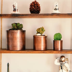 Puede incluir: Una estantería de madera con tres estantes, cada uno con varios artículos decorativos. El estante superior tiene una piña, una cúpula de vidrio con una figurita de ciervo y una cúpula de vidrio con una pequeña figurita de casa. El estante del medio tiene tres macetas de cobre con suculentas. El estante inferior tiene una Torre Eiffel en miniatura, tres botellas de vidrio con tapones de corcho, una bola de nieve y una figurita de astronauta blanca.