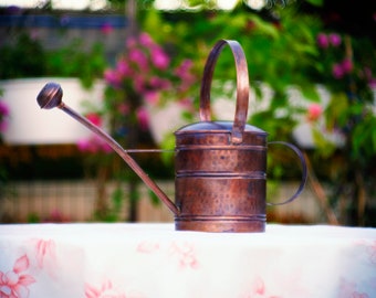 Viktorianische Messing Giekanne, Wassertrger, Zimmerpflanzen  Zimmerpflanzen / Pflanzen im Freien, Pflanzendekor - Etsy Schweiz