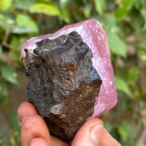 May include: A rough, dark brown rock partially encased in a smooth, pink crystal. The crystal is translucent and has a slight sheen.