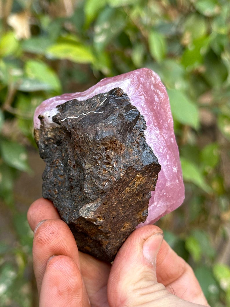 May include: A rough, dark brown rock partially encased in a smooth, pink crystal. The crystal is translucent and has a slight sheen.