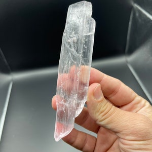 May include: A clear, translucent selenite crystal with a pointed tip. The crystal has a natural, rough texture and is approximately 5 inches long.