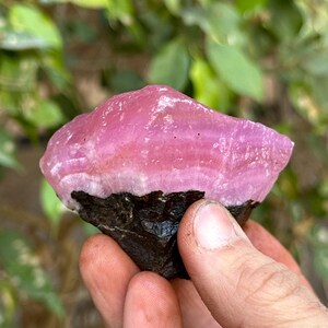 May include: A pink and black crystal with a rough, natural texture. The crystal has a layered appearance with a darker band at the base.