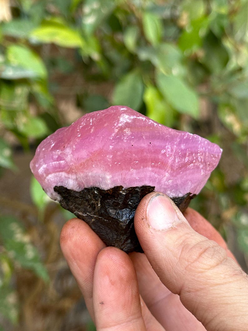 May include: A pink and black crystal with a rough, natural texture. The crystal has a layered appearance with a darker band at the base.