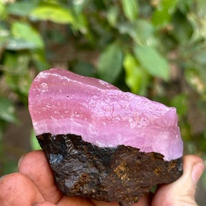 May include: A pink and white banded rhodochrosite crystal specimen with a dark brown matrix. The crystal is smooth and polished.