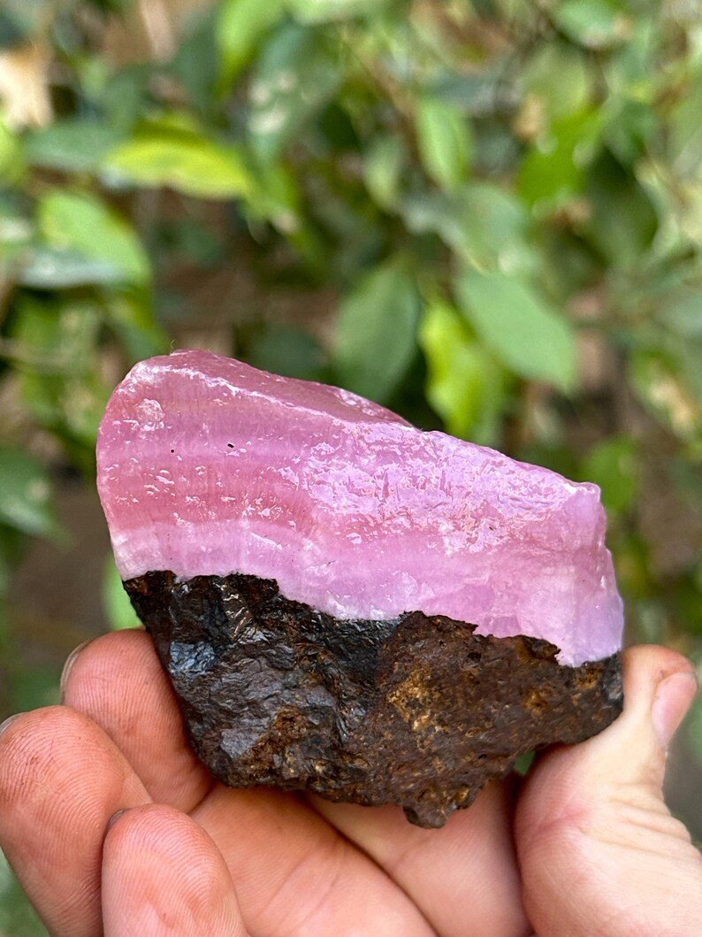 May include: A pink and white banded rhodochrosite crystal specimen with a dark brown matrix. The crystal is smooth and polished.
