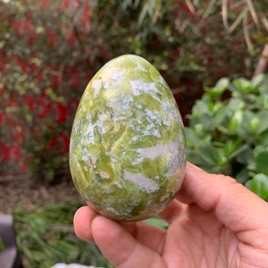 Op de afbeelding: Een groene en witte eivormige steen met een marmerpatroon. De steen wordt in een hand gehouden.