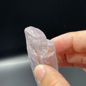 May include: A translucent white selenite crystal with a smooth, polished surface. The crystal is shaped like a long, thin blade and has a slightly rounded tip.