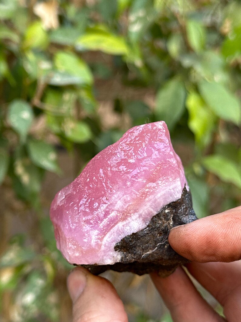 May include: A pink and white crystal with a rough, natural texture. The crystal is attached to a dark gray rock.