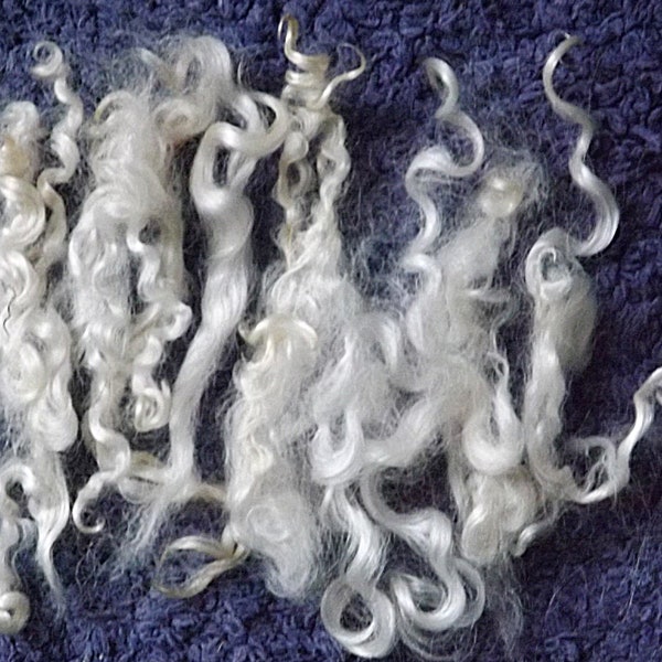 Wensleydale Lustre Longwool locks, 15cm staple, 50gm pack