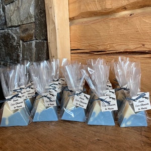 Bags for Your Mountain Soap Favors