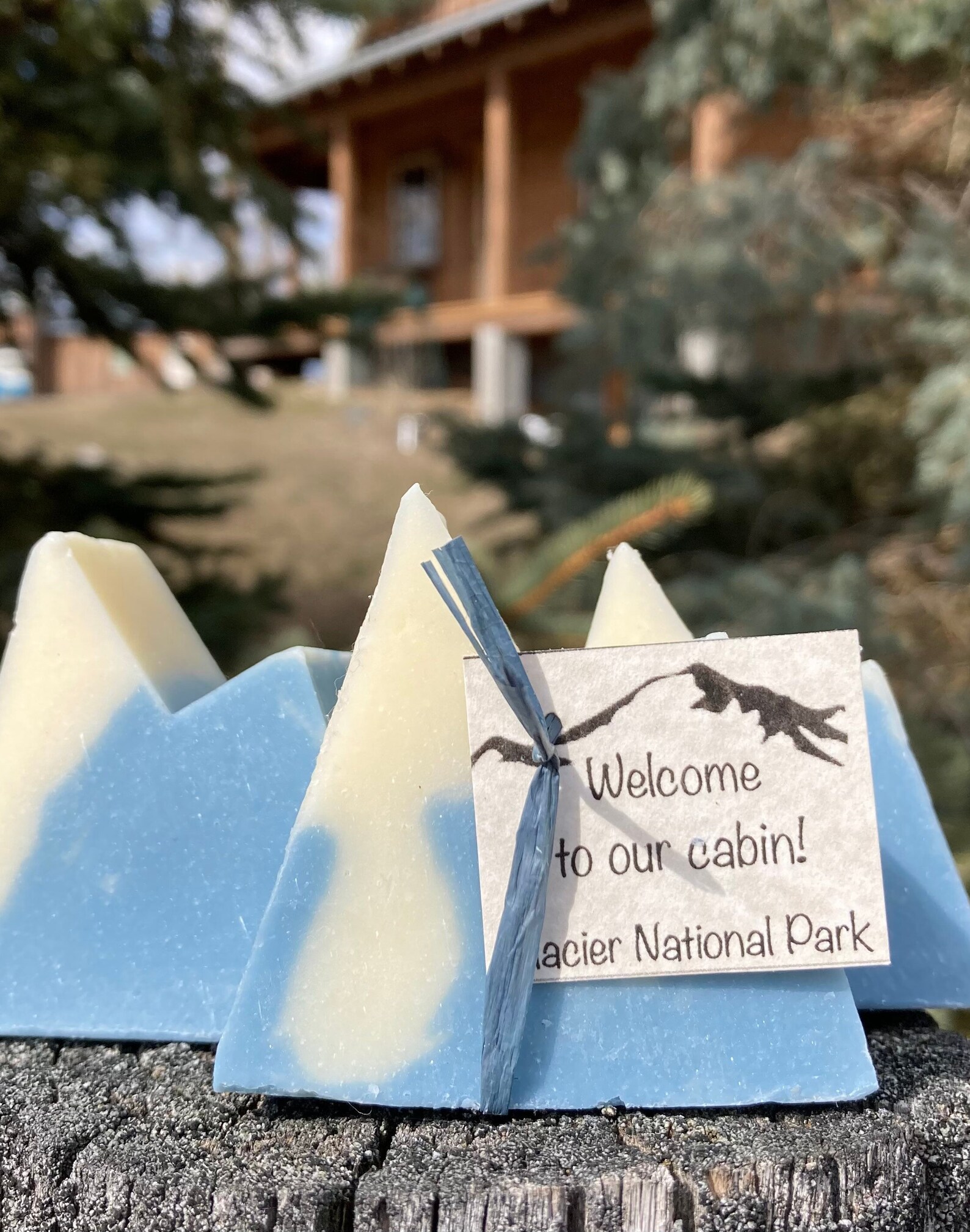 Mountain Theme Wedding Favors Adventure Baby Shower Etsy