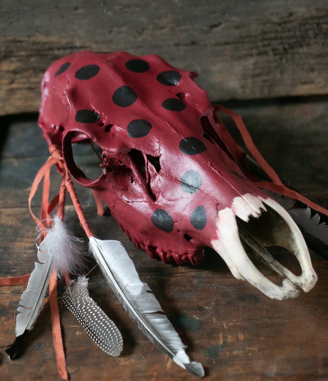 Hand Painted Horse Skull w/ Feathers Etsy