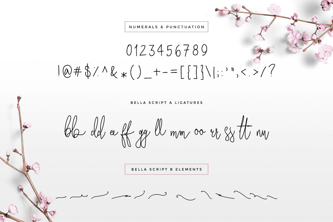 Bella Script Bella Script Font - Etsy