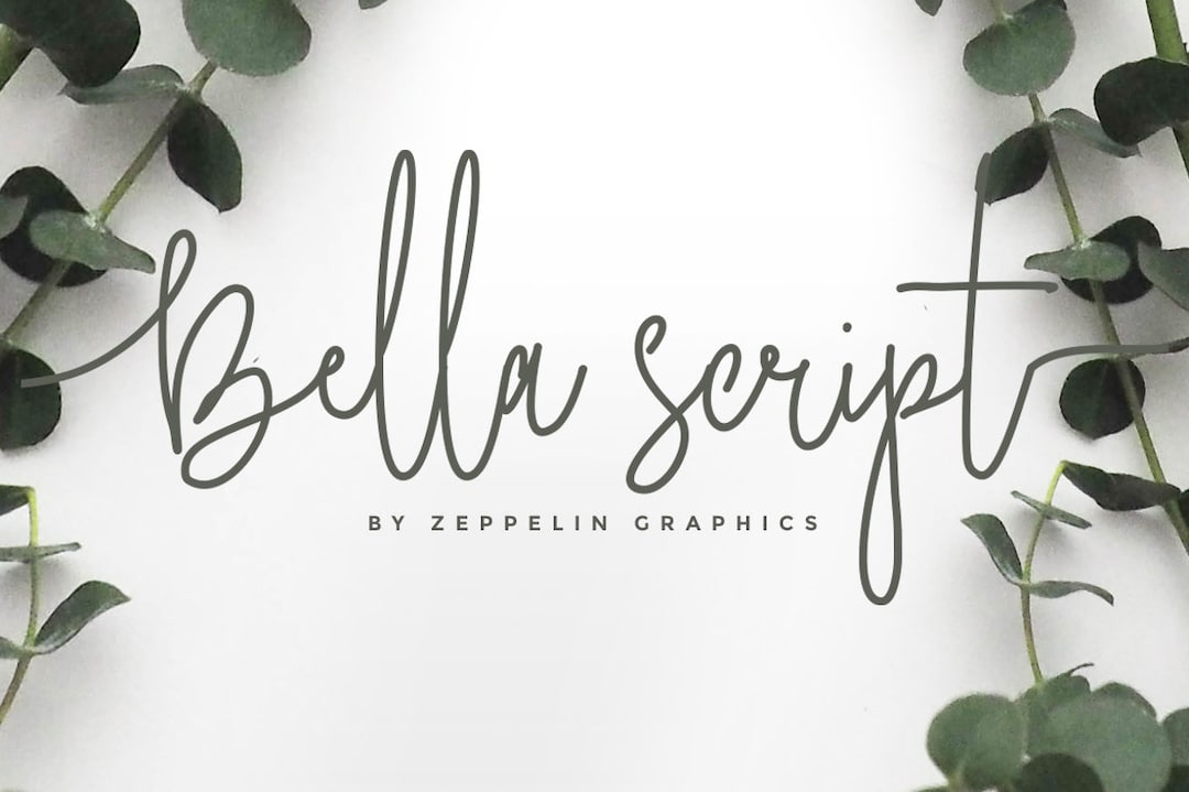 Bella Script Font - Etsy