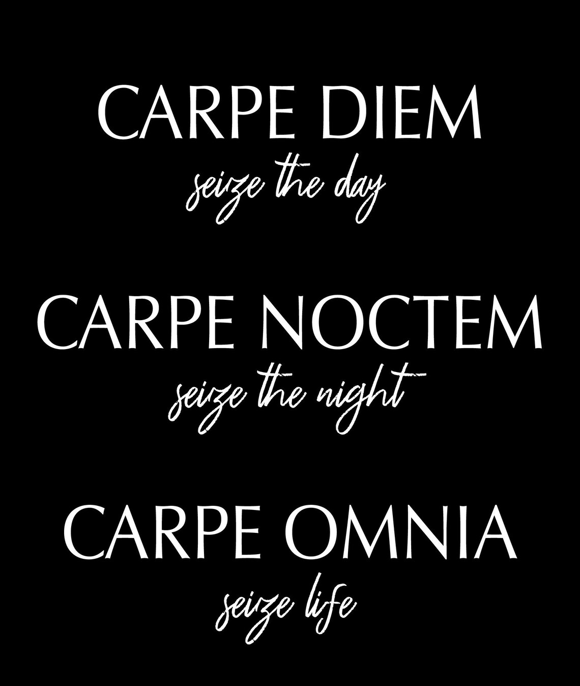Latin Carpe Diem Carpe Noctem Carpe Omnia Etsy España