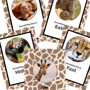 Zoo Scavenger Hunt Card Game