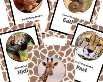 Zoo Scavenger Hunt Card Game