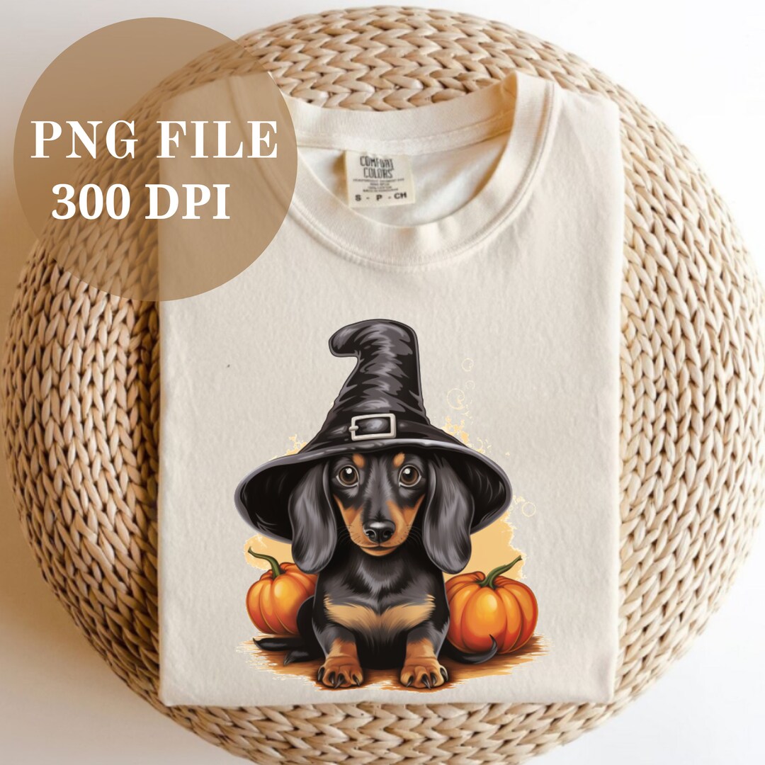 Dachshund Dog Halloween PNG, Halloween Dachshund Witch Hat PNG ...