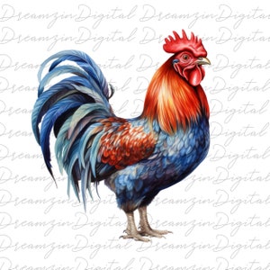 Rooster Png, Rooster Png, Rooster Sublimation Design, Rooster Portrait Png, Hand Drawn Rooster Png Digital Download, Clipart, Farmhouse PNG