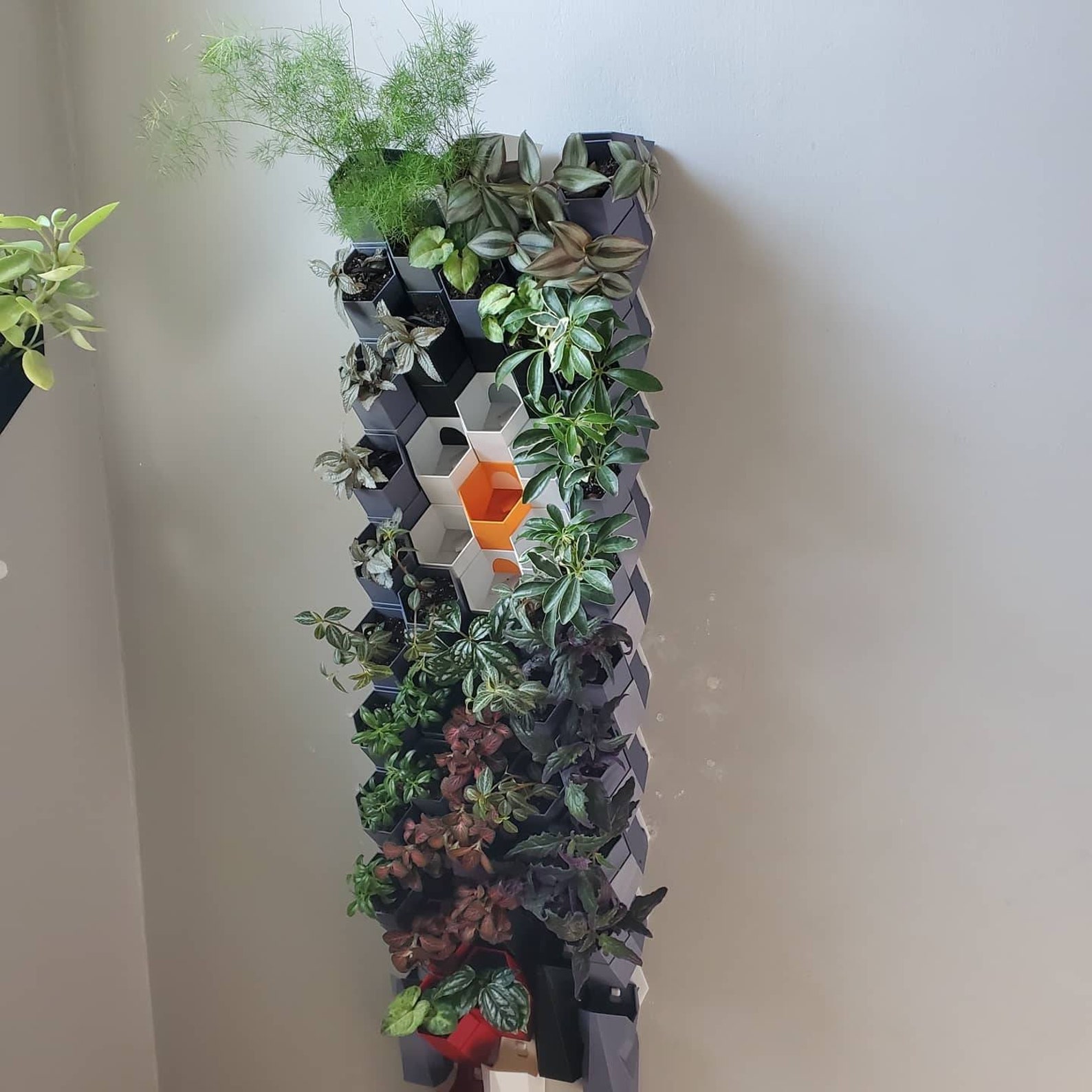 Wall Planter Modular & Self Watering System Etsy